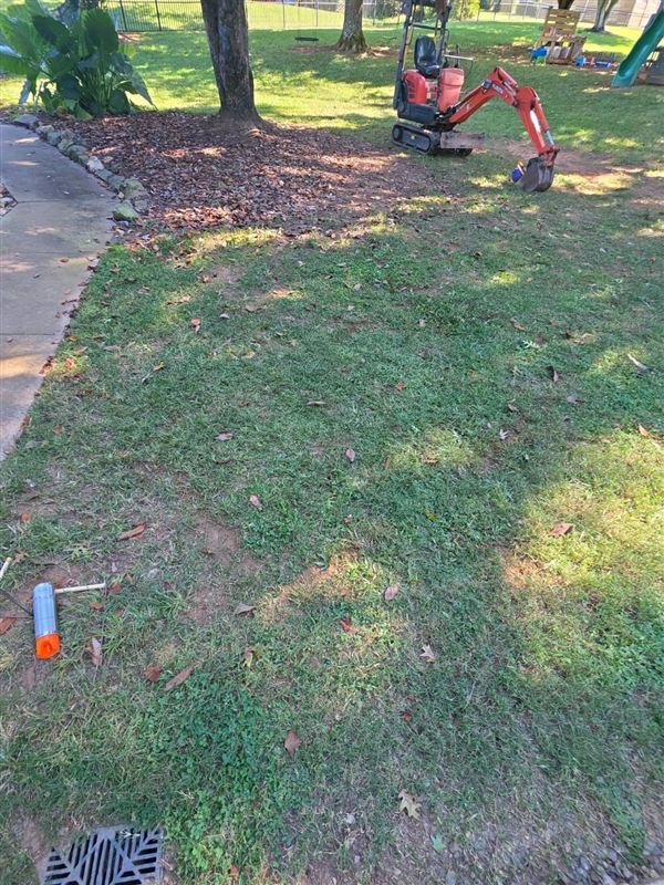 Mini excavator in a backyard during a septic inspection