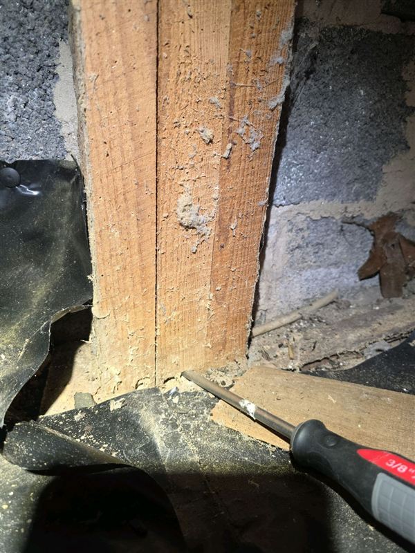 Wood support post standing in a crawlspace under a house
