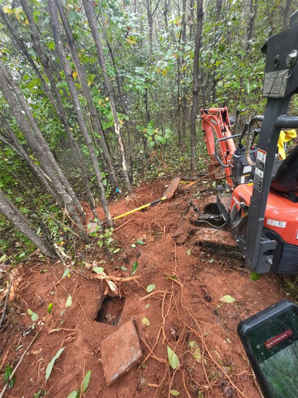 Mini excavator uncovering a septic tank on a wooded lot